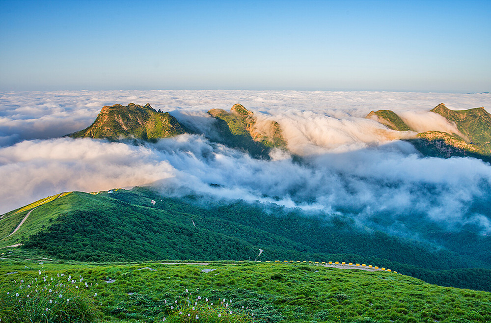 生態(tài)釀酒